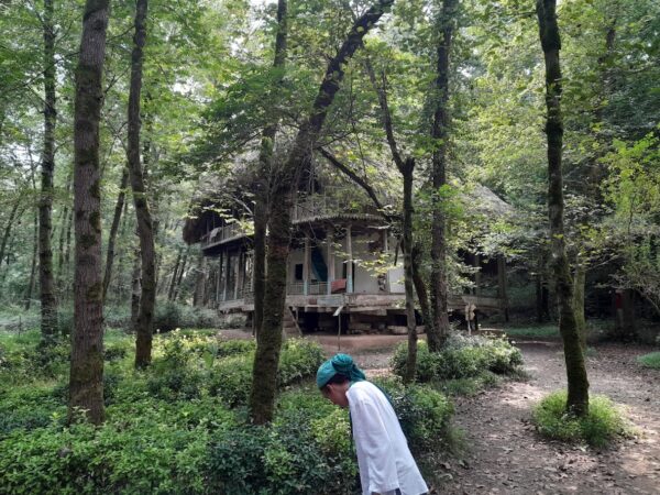 Old traditional house in the woods, Shomal, Iran